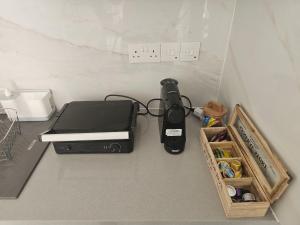 Shiamis Modern House