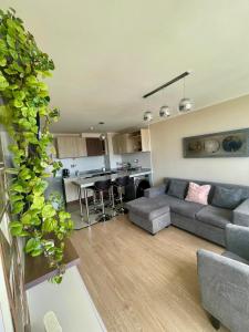 Quédate en el corazón de Temuco