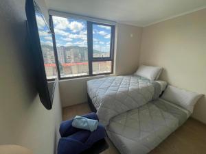 Quédate en el corazón de Temuco