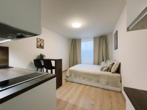 Studio apartments Kubanske