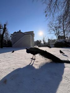 Spacious, quiet and bright apartment, close center - backyard parking - Mokotów