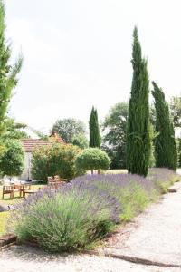 La Cannonerie