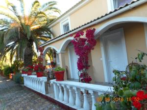 Eleni Family Apartments Corfu Greece