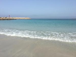 L'Anfiteatro 39 img11