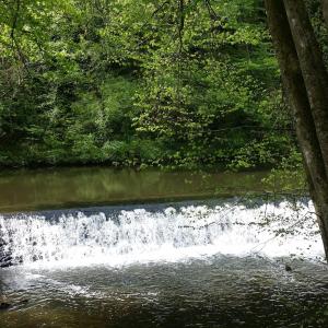 Maisons de vacances Les Fougeres Du Lac : photos des chambres