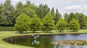 Chalet Inn de natuur van Drenthe, Inclusief Airco en Fietsen!