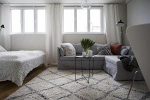 Unique and Bright Penthouse Studio in Ullanlinna