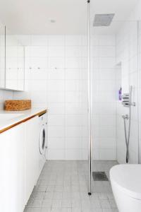 Unique and Bright Penthouse Studio in Ullanlinna