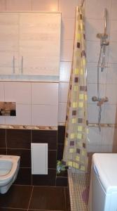 Apartment on Bogdana Gavrilishyna 3