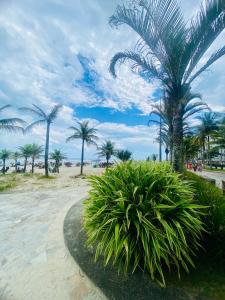 APÊ Studio Pé na Areia!