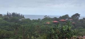 Ocean View Villas C10