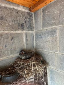 The Quiet Corner- Lake Como