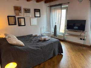 Houseberg Quarenghi sx