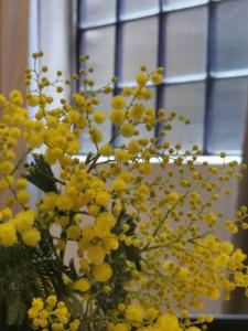 Architect Designed Studio Borough