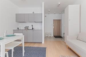 Platinium Old Town Studio - Dzielna