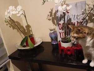 Habitación privada en casa compartida en Cancun