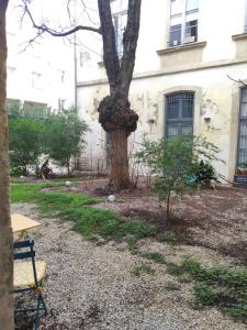 Historic Center & Private Patio