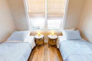 OAI67 Pawsitive Island Escape