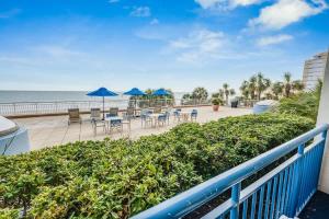 New Oceanfront 1BR - Coral Beach w Heated Pools!