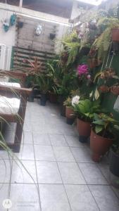 Apartamento Praia Grande com quintal e estacionamento