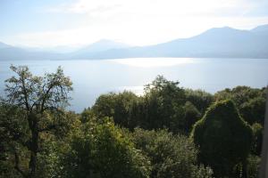 The Marenca of Mozzola