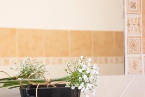 Locanda Rurale Lu Salconi img19