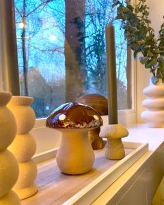 Chalet Het Hulstje 1