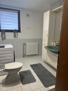 Apartments Klavdija Celje Mos