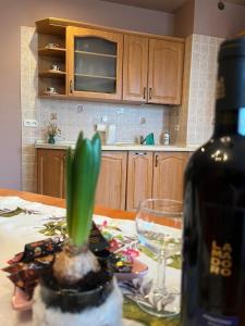 Apartament na Spacerowej