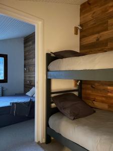 3 bedrooms, 7-8 guests, ski-in out, great view