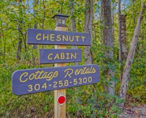 Chesnutt Cabin - Riverfront, Fire Pit, Game Room, Wifi, Screen Porch, View, King Bed