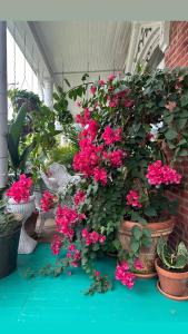 1890 Victorian Garden Home Bed and Breakfast