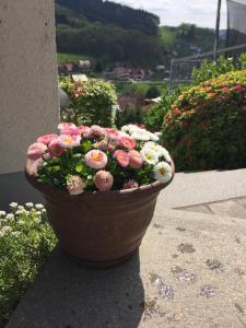 Ferienwohnung Kuckuckslockennest