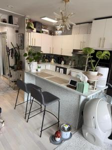 Serene Studio in Brooklyn Heights