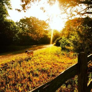 Beautiful Hill Country Hideaway