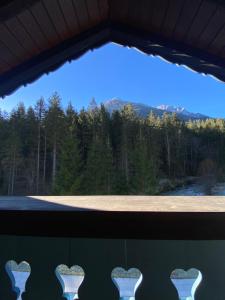 Ferienwohnung Bergnest