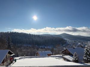 Chalet Zeitlos - Bodenmais