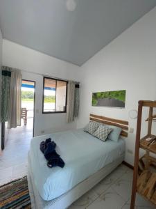 Hotel Pura Natura Riverside Tortuguero