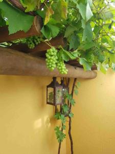 Casinha Ipê Roxo - Condomínio Quinta do Rosário