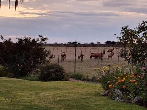Farm Stay Wildwasser