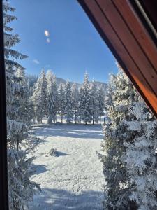 Wilcze Echo Kościelisko