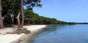 Maison familiale avec jardin, Biscarrosse lac à pied