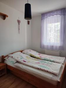 Plázs Wellnes Apartman