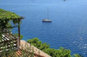 Villa Danica Marušići