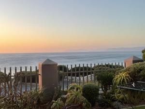 The Tarp at Whale Cove