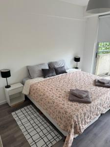 2-room Apartment for Short-Term Rent