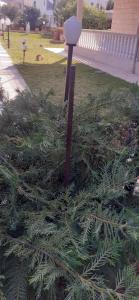 ALONI G&A Archaggelos