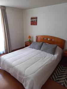 Apart Hotel Agustinas Plaza