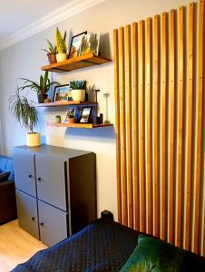 Green 3rd Centrum Paderewskiego