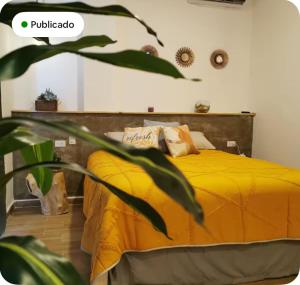 MaaR Estudios 5, a 2 cuadras del Malecón de La Paz